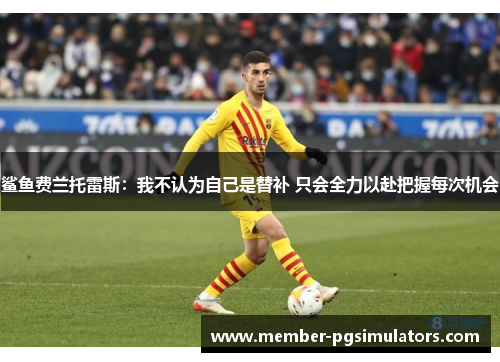 鲨鱼费兰托雷斯：我不认为自己是替补 只会全力以赴把握每次机会